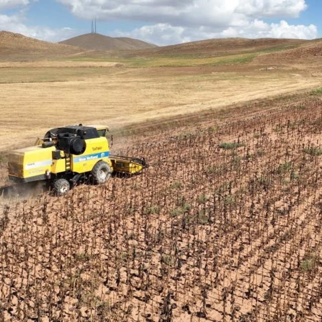 Tarımsal girdi fiyatları yıllık yüzde 33,66 arttı