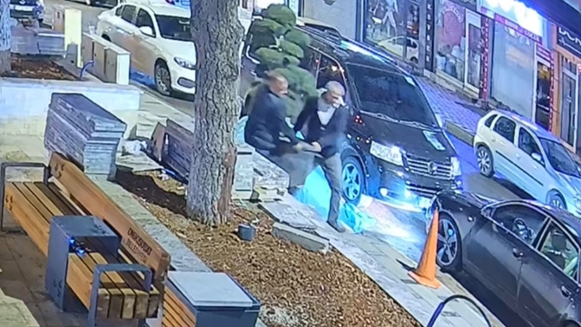 Bu da ağaç hırsızlığı: Parktaki ağacı araçla çaldılar