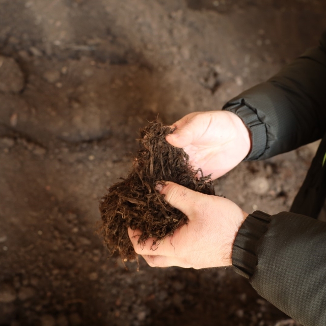 Torf üretimiyle yılda 50 milyon lira tasarruf sağlanıyor