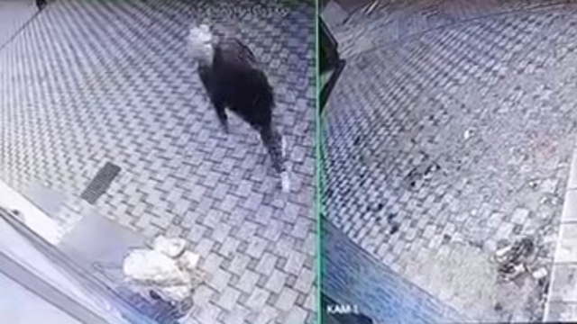 Bursa'da pazar arabası hırsızlığı