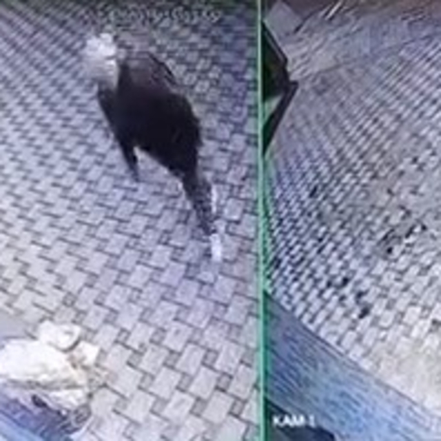 Bursa'da pazar arabası hırsızlığı