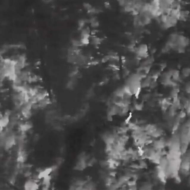 Muğla'da yaban hayatına "dron" kalkanı