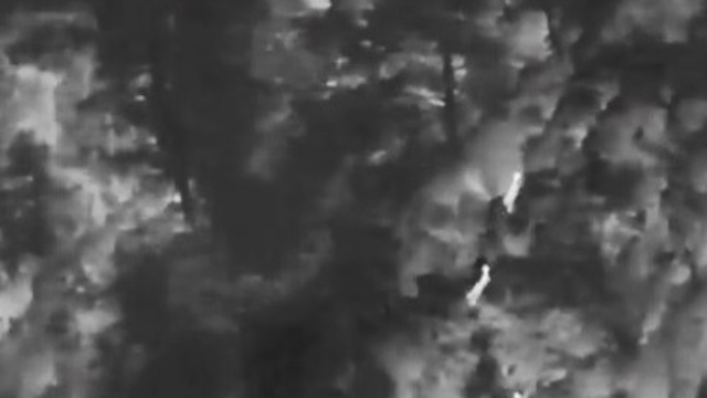 Muğla'da yaban hayatına "dron" kalkanı