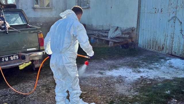 Çavdarhisar'da hayvan işletmelerinde salgın hastalıklara karşı dezenfeksiyon