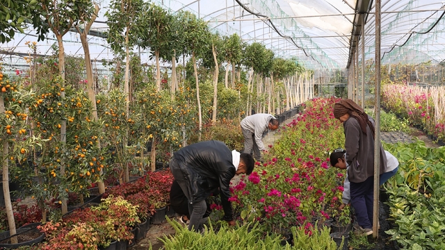 Muğla Büyükşehir'den yerel kalkınmaya katkı