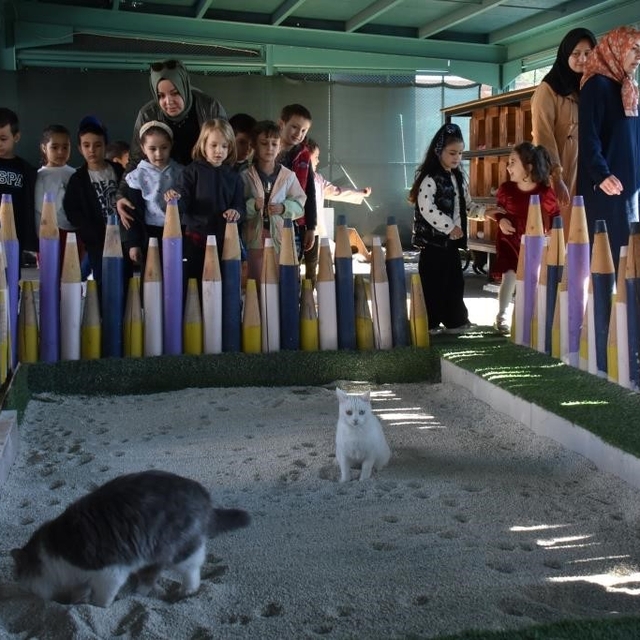 Türkiye'de ilk olan 'Küçük Dostlar Ambulansı' ile 10 bin 280 can kurtarıldı...