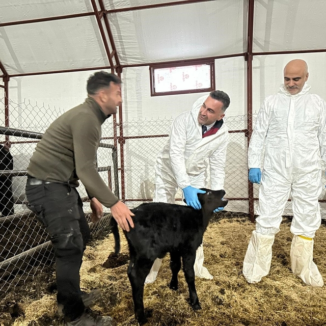 Pertek'te kırsala bereket: Genç veterinere hayvancılık desteği