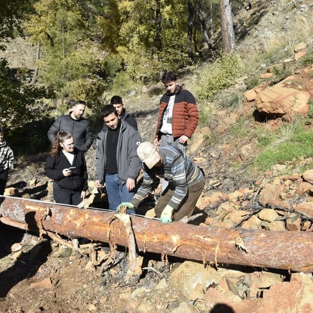 Köyceğiz'de Ormancılık Yüksek Okulu öğrencileri saha uygulamalarına katıldı