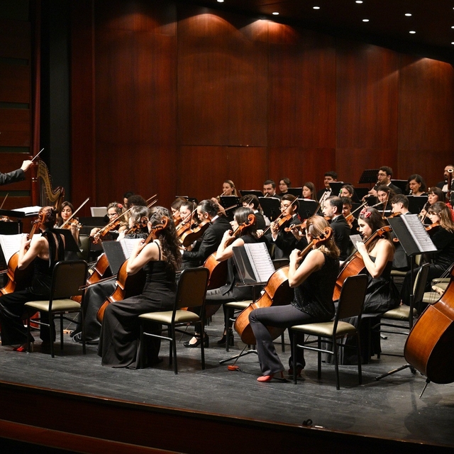 Anadolu Üniversitesi Senfoni Orkestrası'ndan yeni yıl konseri