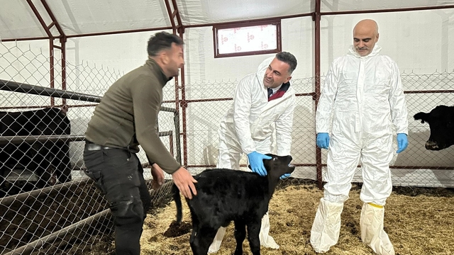 Pertek'te kırsala bereket: Genç veterinere hayvancılık desteği