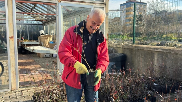 Giresun'dan mavi yemiş atağı