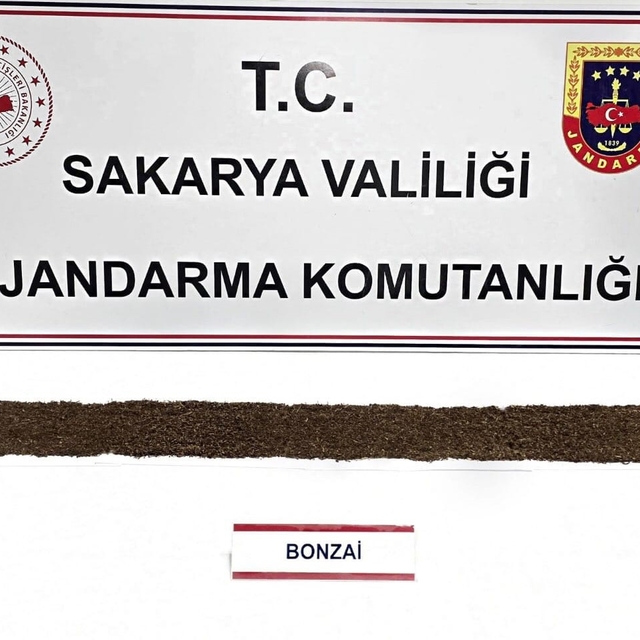 Jandarma uyuşturucuya geçit vermiyor: 1 tutuklama