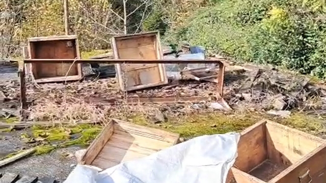 Rize'de ayının kovanlarına saldırdığı üretici isyan etti: "Ben şimdi ne edeyim"