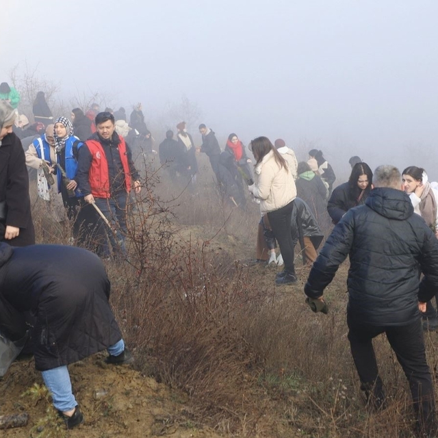 KBÜ'lü öğrenciler 500 çam fıstığı fidanını toprakla buluşturdu
