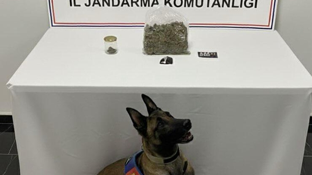 Şanlıurfa'da uyuşturucu operasyonunda 1 şüpheli yakalandı