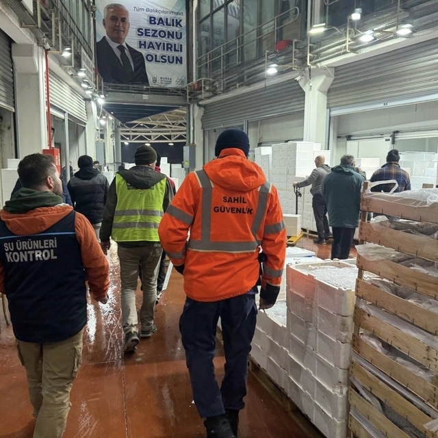 Bursa'da balık halinde gece operasyonu...615 kilo istavrite el konuldu