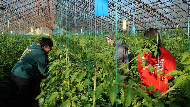 Üniversiteden sofraya