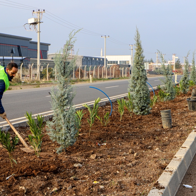 Diyarbakır'ın 14 kilometrelik girişi ağaçlandırılıyor