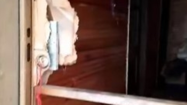 Ayılar kış uykusu nedir bilmiyor, yayla evlerine saldırıları sürüyor
Ayı tarafından parçalanmış çelik kapıyı gören yöre halkı şaşkınlığını gizleyemedi