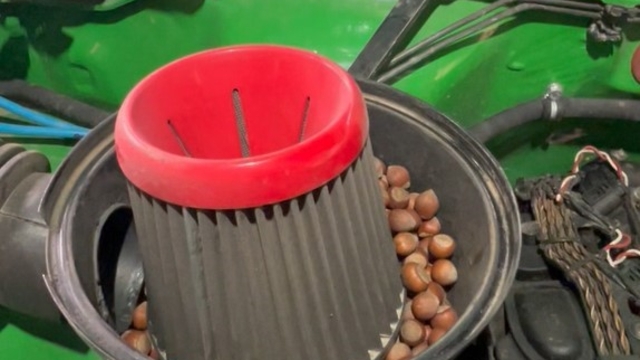 Off-road aracının hava filtresine giren sincaptan fındık sürprizi
Gümüşhane'de park halindeki bir off-road aracının hava filtresine giren sincap 1 kiloya yakın fındığı burada depoladı