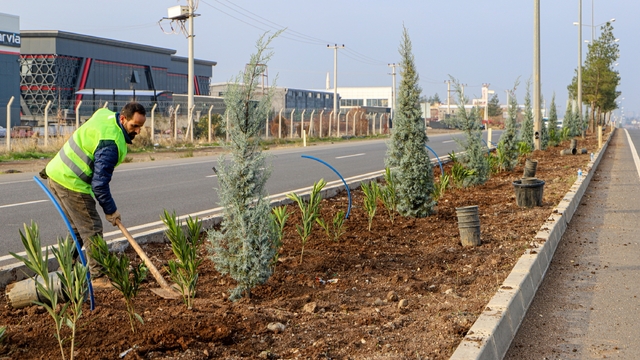 Diyarbakır'ın 14 kilometrelik girişi ağaçlandırılıyor