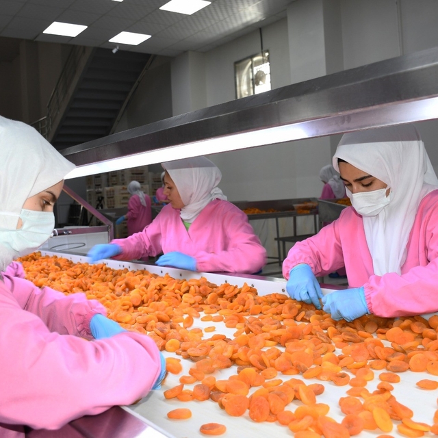 Malatya'da kuru kayısıda 11 ayda 275 milyon dolar gelir elde edildi