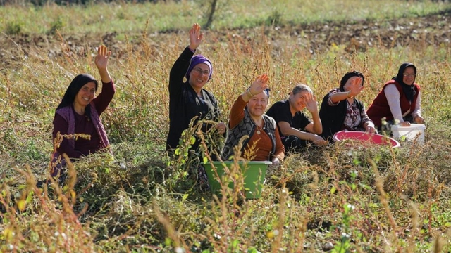 Samsun'da bitkisel ve hayvansal üretim destekleniyor
Çiftçi üretiyor, belediye alıyor, dar gelirli ise tüketiyor
