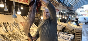 Akdeniz'de 1,5 metrelik Atlas balığı yakalandı