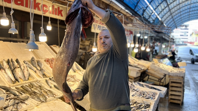 Akdeniz'de 1,5 metrelik Atlas balığı yakalandı