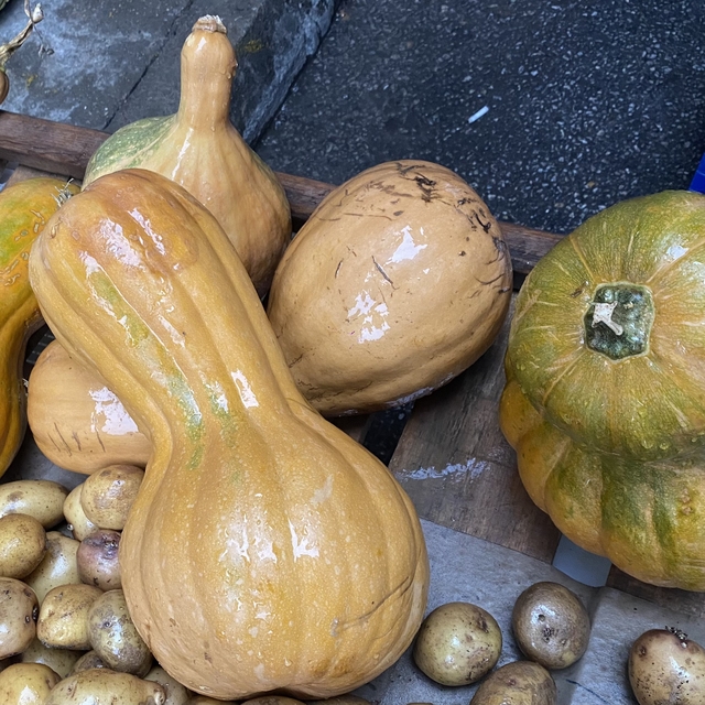 Kendisi ayrı, çekirdeği ayrı şifa kaynağı