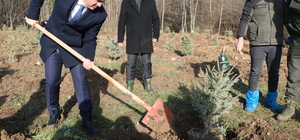 Bolu'daki yangın faciasında ölen 78 kişi için hatıra ormanı