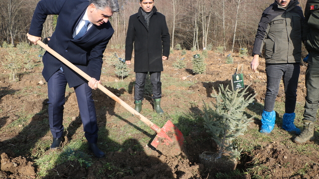Bolu'daki yangın faciasında ölen 78 kişi için hatıra ormanı