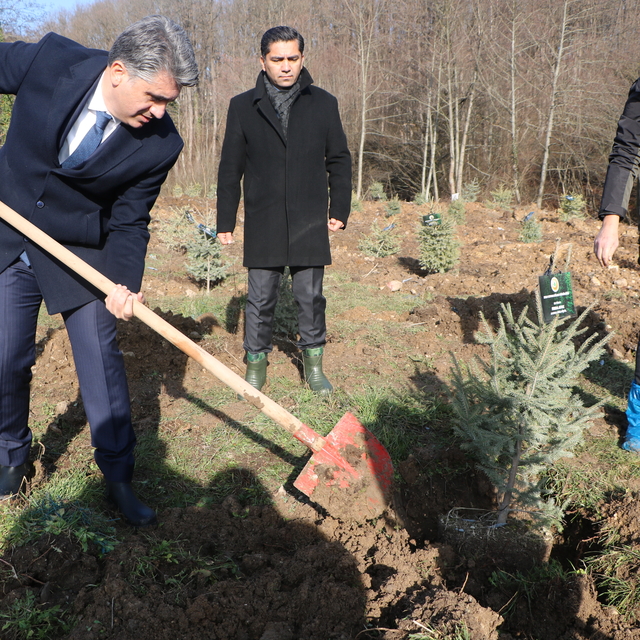Bolu'daki yangın faciasında ölen 78 kişi için hatıra ormanı