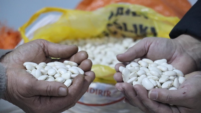 Tescilli Gürgentepe çoban fasulyesinde 'alım garantili üretim' modeli uygulandı