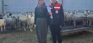 Hibe desteğiyle hayvancılık yapan besicilere yönelik denetim