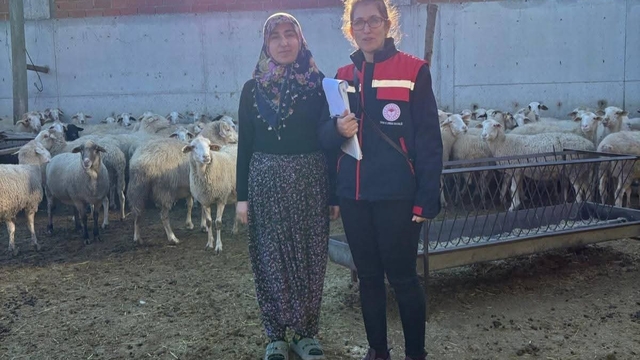 Hibe desteğiyle hayvancılık yapan besicilere yönelik denetim