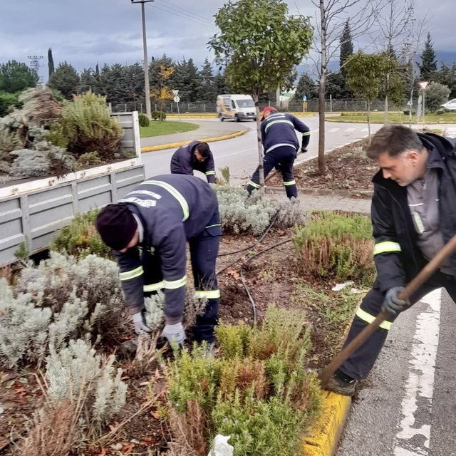 Körfez'de yeşil alanlar çiçeklerle süsleniyor