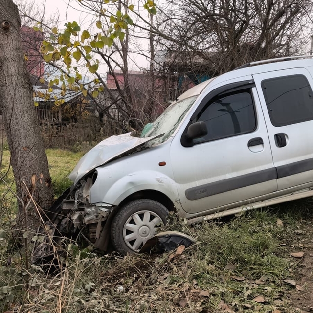 Ağaca çarpan hafif ticari araçtaki anne ile kızı yaralandı
