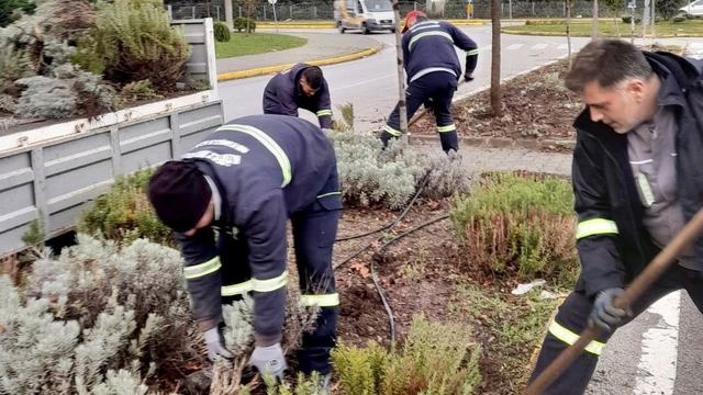Körfez'de yeşil alanlar çiçeklerle süsleniyor