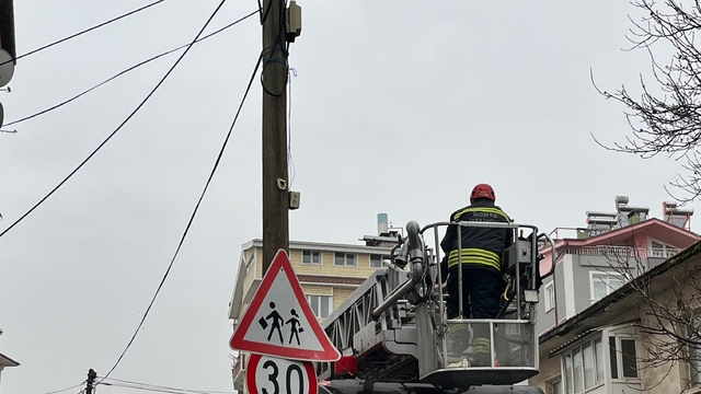 Beyşehir'de itfaiye merdiveni bu kez direğin tepesindeki kedi için uzatıldı