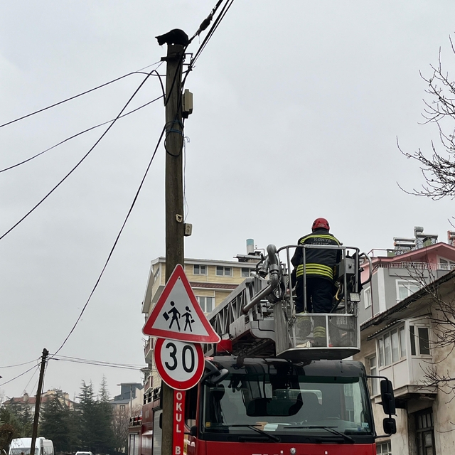 Beyşehir'de itfaiye merdiveni bu kez direğin tepesindeki kedi için uzatıldı