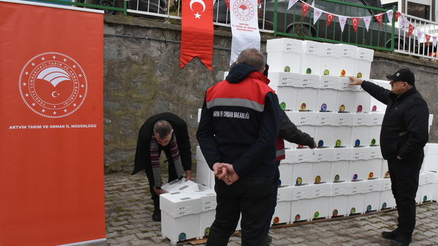 Artvin'de arıcılara ana arı üretim seti desteği verildi