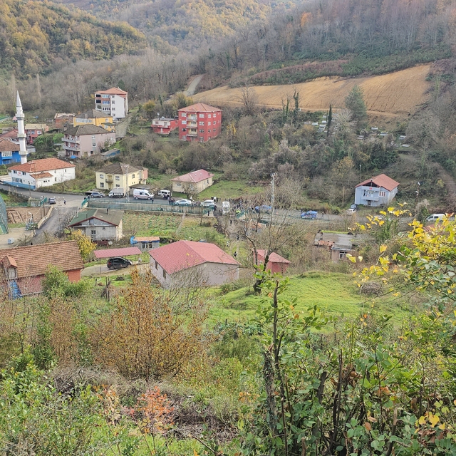 Hasta ziyaretinden dönerken annesiyle kurşunların hedefi oldu
Boşanma aşama...