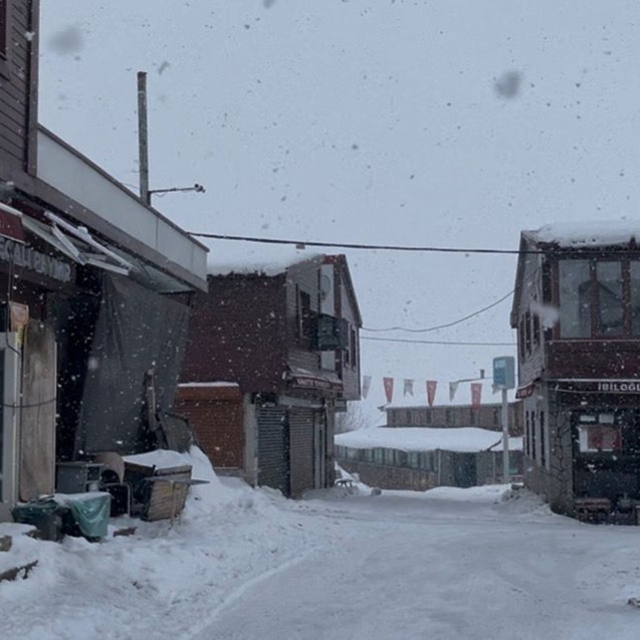 Ordu'nun yüksek kesimlerinde kar yağışı