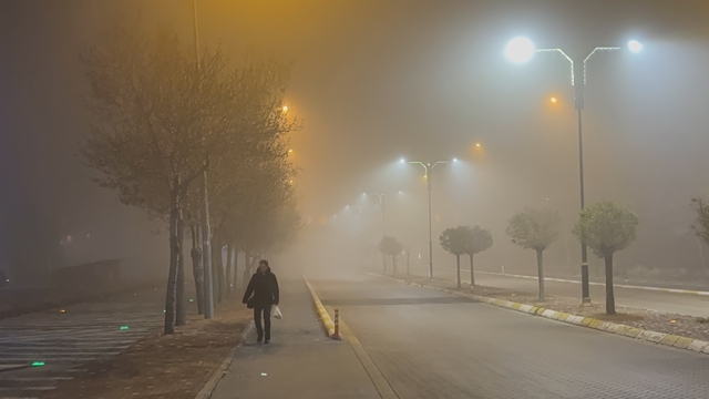 Isparta'da sis etkili oldu