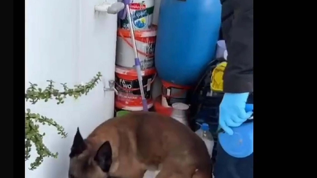 Aydın'da silah ve uyuşturucu operasyonu: 2 gözaltı