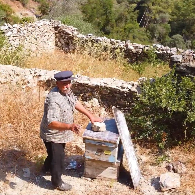 Muğla'da kovan barınakları tekrar ayağa kaldırılıyor