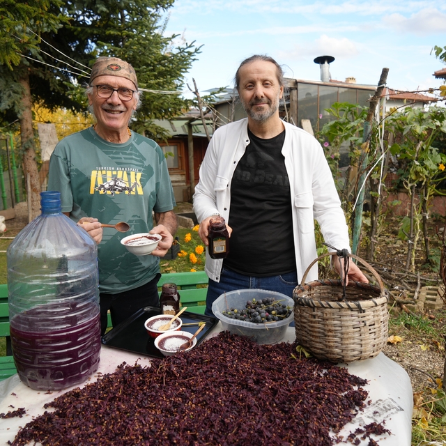 Kanser hücrelerinin oluşumunu önleyen kokulu üzümün üretimi arttırılacak