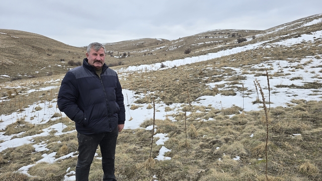 Babasıyla tartıştı, vadeli koyun alarak kendi sürüsüne sahip oldu
Yozgat'ta hayvancılıkla uğraşan İbrahim Tamer: "Masa başında memur olsaydım bu kadar para kazanamazdım"