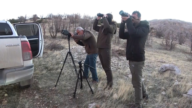 Adıyaman'da yaban keçileri tek tek sayılıyor
Adıyaman'da, yaban keçisi envanteri çıkartılıyor